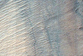 Gully Monitoring