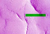 Recent Impact Site