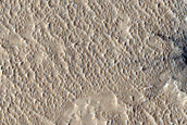 Candidate Recent Impact Site
