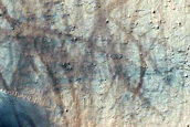 Terra Cimmeria Intracrater Barchan Dunes