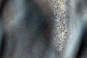 USGS Dune Database 2179-591 Monitoring