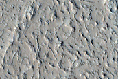 Candidate Recent Impact Site