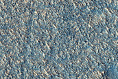 Albedo Monitoring in Arcadia Planitia