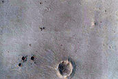 Candidate Recent Impact Site