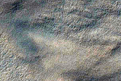 Gully Monitoring