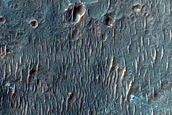Knobs in Ladon Valles Basin