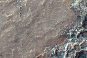 Albedo Monitoring in Solis Planum