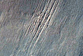 Gully Monitoring