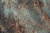 Sand Pathway West of Jezero Crater