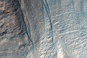 Gully Monitoring