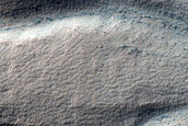 Gully Monitoring