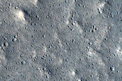 Elysium Planitia