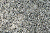 Terrain Sample
