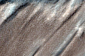 Vishniac Crater Floor