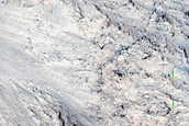 West-Facing Gullied Slopes in East Candor Chasma