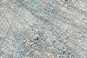 Sample Plains