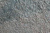 Gully Monitoring