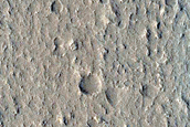 Candidate Recent Impact Site