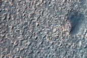 Channel Head in Newton Crater