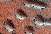 Dune Monitoring in Crater