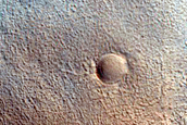 Northern Plains