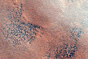 Northern Plains