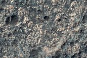 Rocky Plains