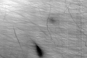 Candidate Recent Impact Site