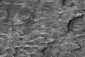Terrain Sample