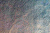Malea Planum