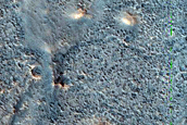 Ridges in Acidalia Planitia