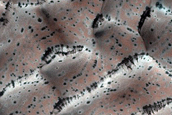 Dune Monitoring in Crater