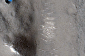 Ring Structure in Utopia Planitia