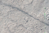 Argyre Planitia