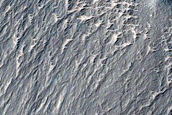 Landslide Scarp and Lobe