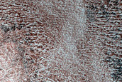 Frost Monitoring in Crater