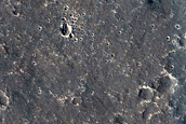 Monitoring Dust Devil Tracks at InSight Landing Site
