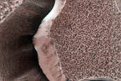 Dunes with Large Alcoves Dubbed Palma