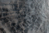 Crater on Isidis Planitia