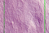 Utopia Planitia