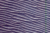 Argyre Planitia
