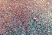 Northern Plains