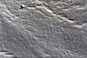 Tempe Terra