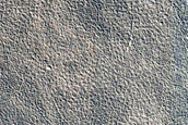 Arcadia Planitia