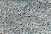 Terrain Sample