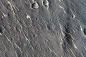 Isidis Planitia