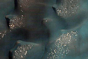 Dune Monitoring in Crater