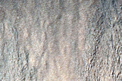 Gullies along Depression in Lyell Crater