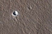 Elysium Planitia