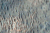 Terrain Sample